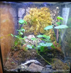 Screenshot_20250218-231058.Photos.webp