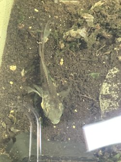 IMG_0787.jpeg