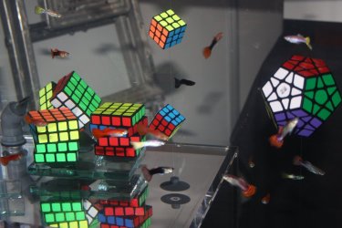 75478520_995291870821905_8943404602254950400_n.jpg 75478520_995291870821905_8943404602254950400_n.jpg