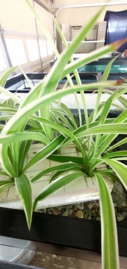 IMG_20250224_112657153_HDR.webp