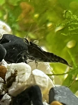 IMG_8005.webp