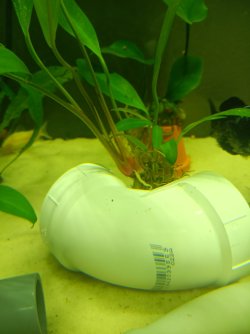 20250317_181125.jpg