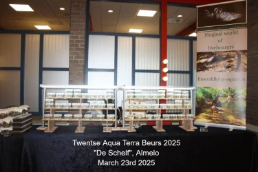 TAEB2025.webp