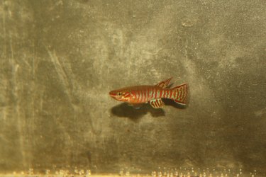 IMG_7124.JPG