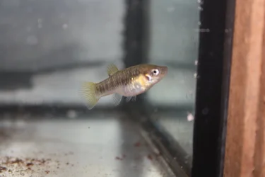 IMG_7032.webp