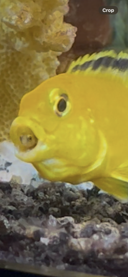 IMG_2751.png