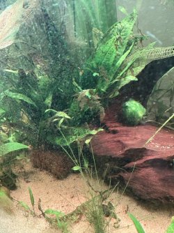 IMG_0093.jpeg