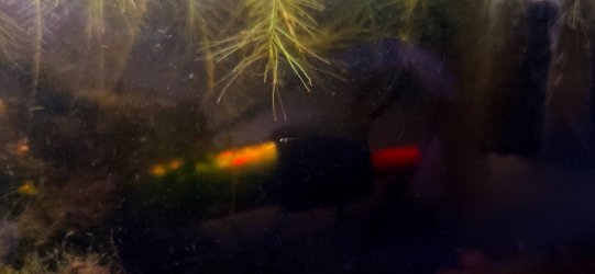 20250423_222351.jpg