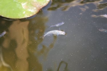 IMG_7405.JPG