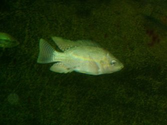 100_4257.JPG