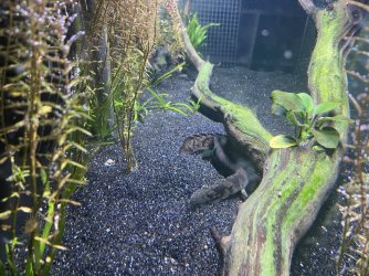 IMG_2505.jpeg