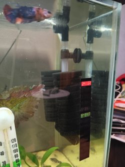 17489060500023113491042473594344.jpg