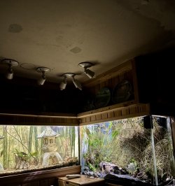 IMG_8063.jpeg