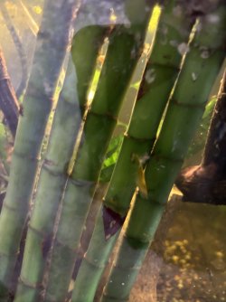 IMG_8068.jpeg