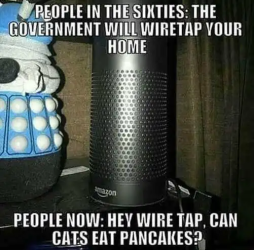 1749667078158.png