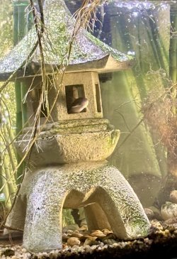 IMG_8104.jpeg