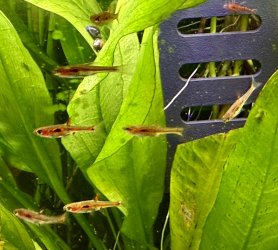 IMG_2055.jpeg
