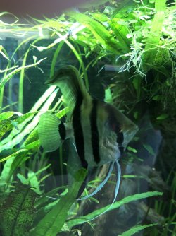 IMG_1847.jpeg