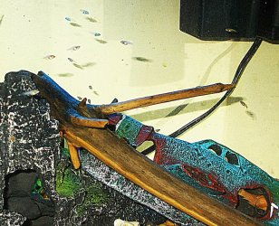 DSCN5464.JPG
