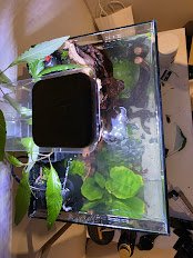 20250621_184058.jpg