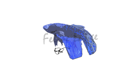 1750522440554.png