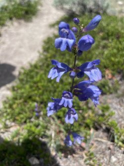 IMG_1869.jpeg