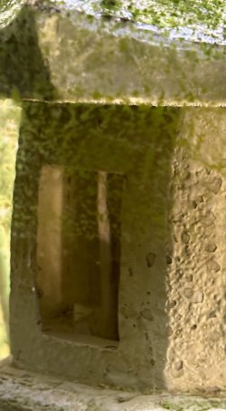 IMG_8152.jpeg