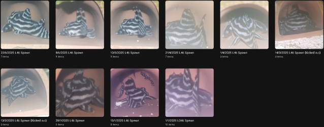 1751542881949.png
