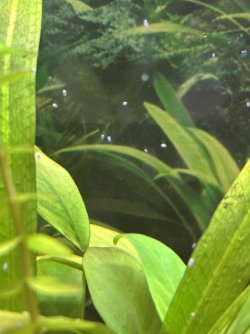 IMG_5457.jpeg