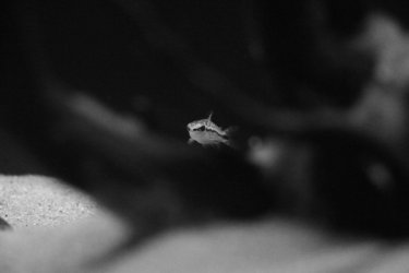 IMG_8128[2].JPG
