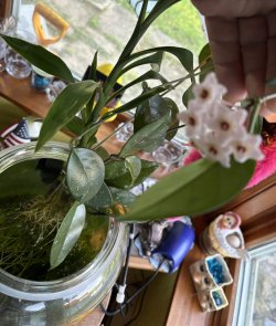 IMG_8200.jpeg