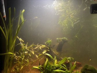 IMG_7811.jpeg
