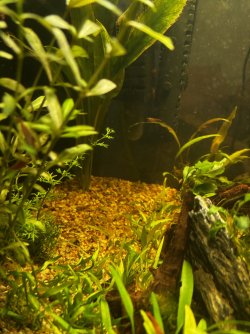 IMG_7934.jpeg