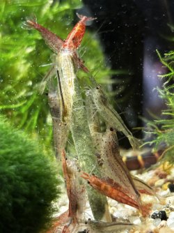 IMG_8015.jpeg