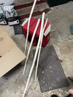 IMG_1961.jpeg