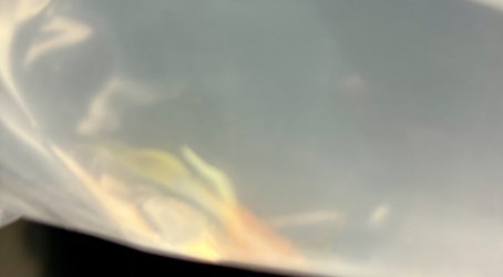 IMG_8250.jpeg