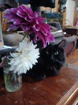 20250706_120441.jpg