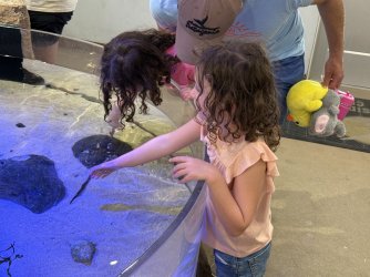 IMG_2217.jpeg