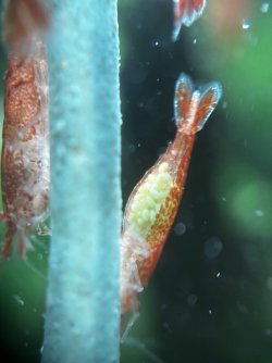 IMG_8119.jpeg