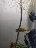 20250731_091259.jpg