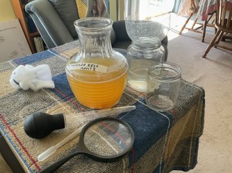 IMG_1661.jpeg