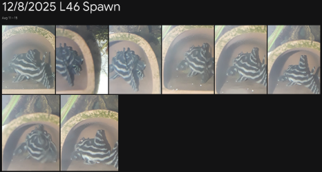 1755242897133.png