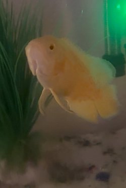 IMG_4865.jpeg