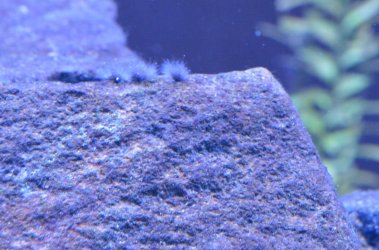 DF0_8819.JPG