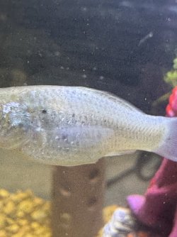 IMG_0237.jpeg