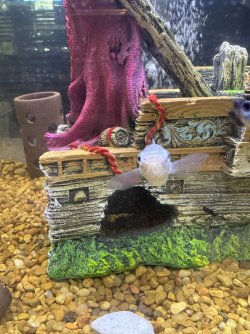 IMG_0249.jpg