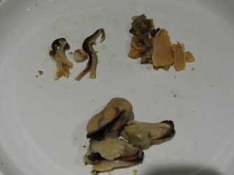 IMG_2275.JPG