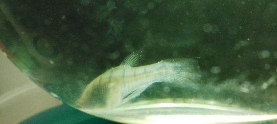 IMG_20250829_165829.jpg