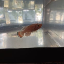 IMG_1697.jpeg