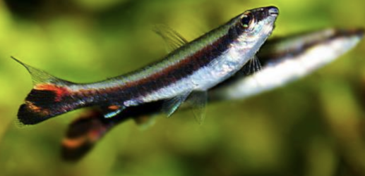 Screenshot 2025-09-08 at 12.30.12 PM.png